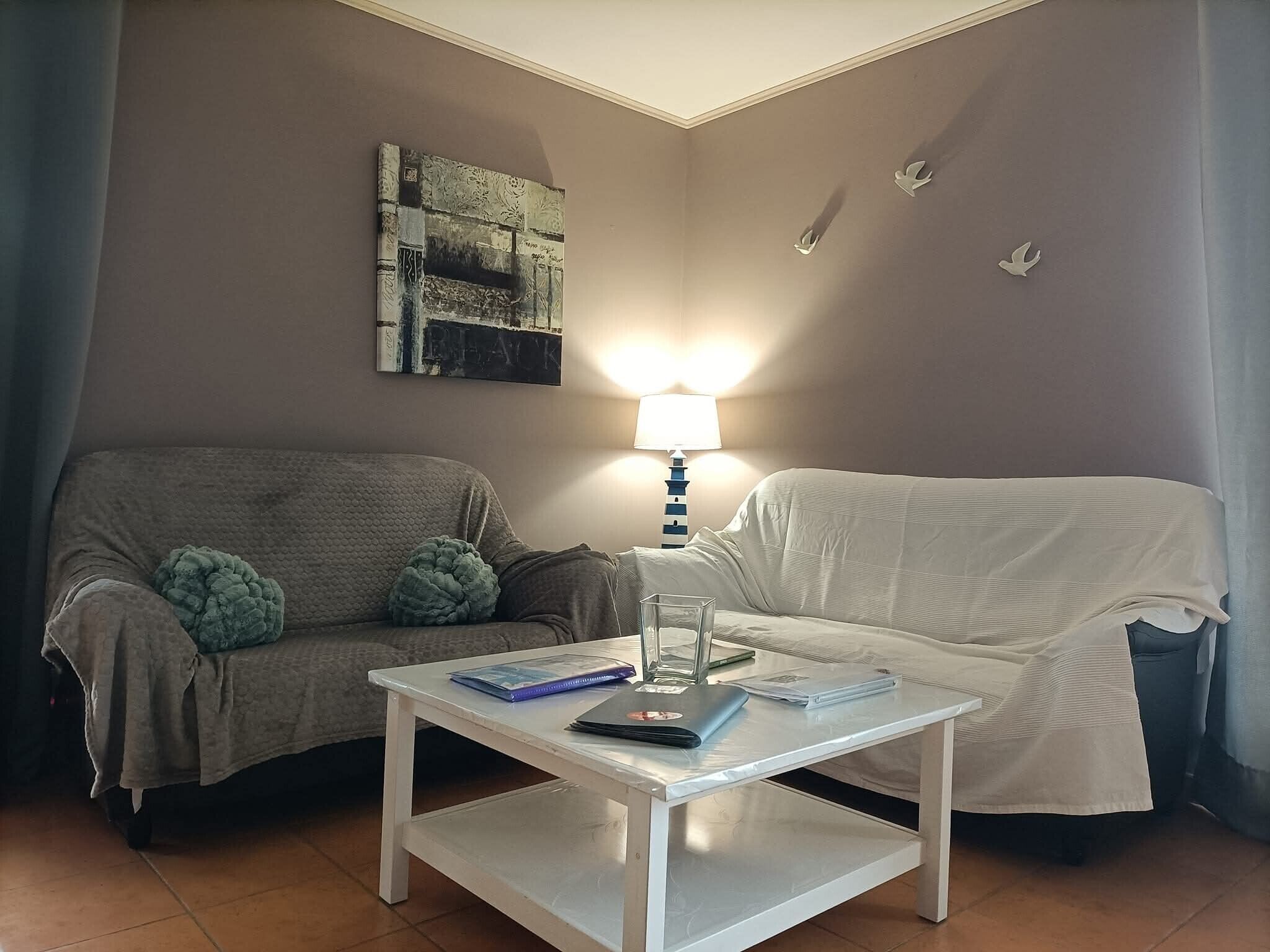 Televisión, reproductor de DVD y tenis de mesa 