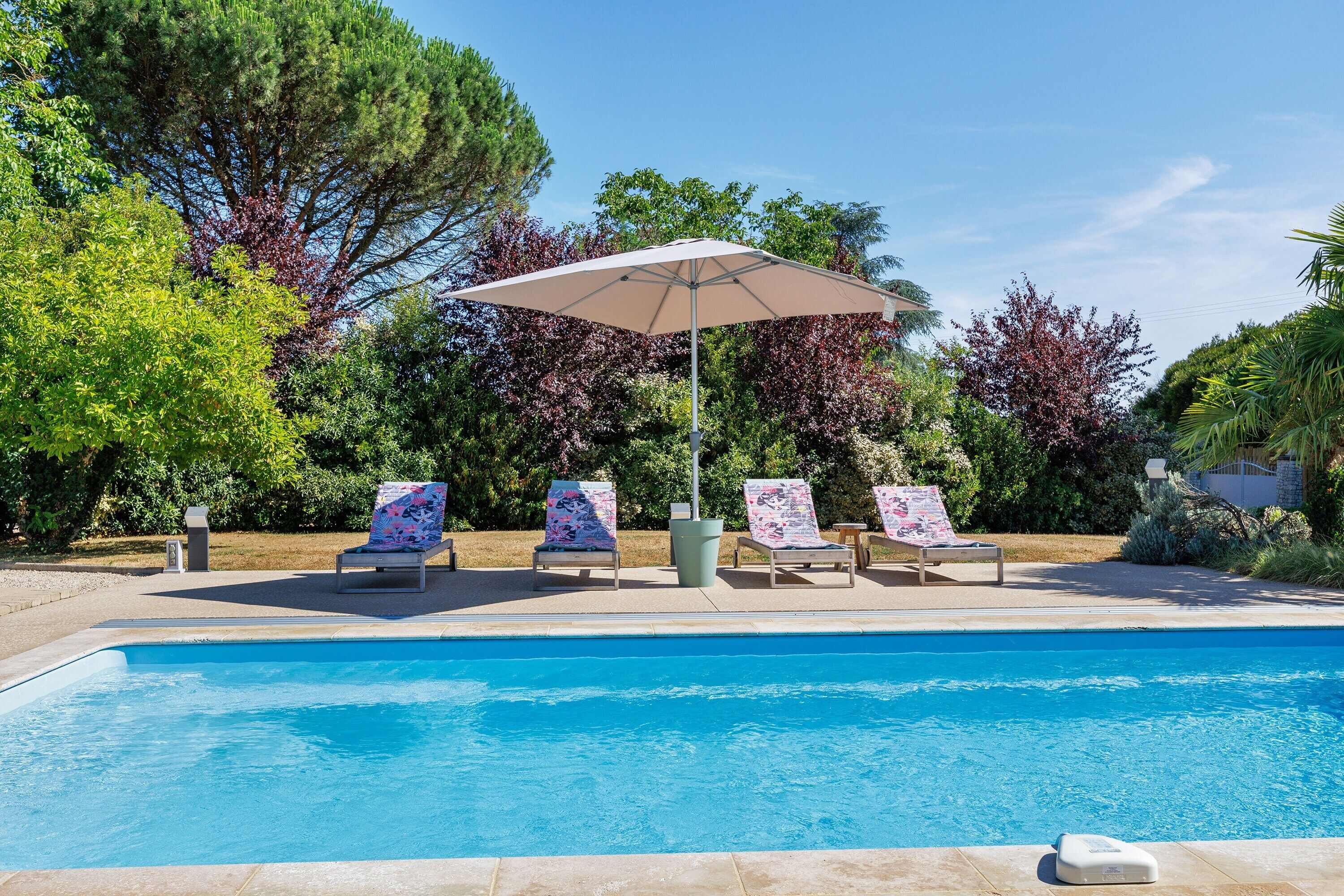En swimmingpool med liggestole og en parasol.
