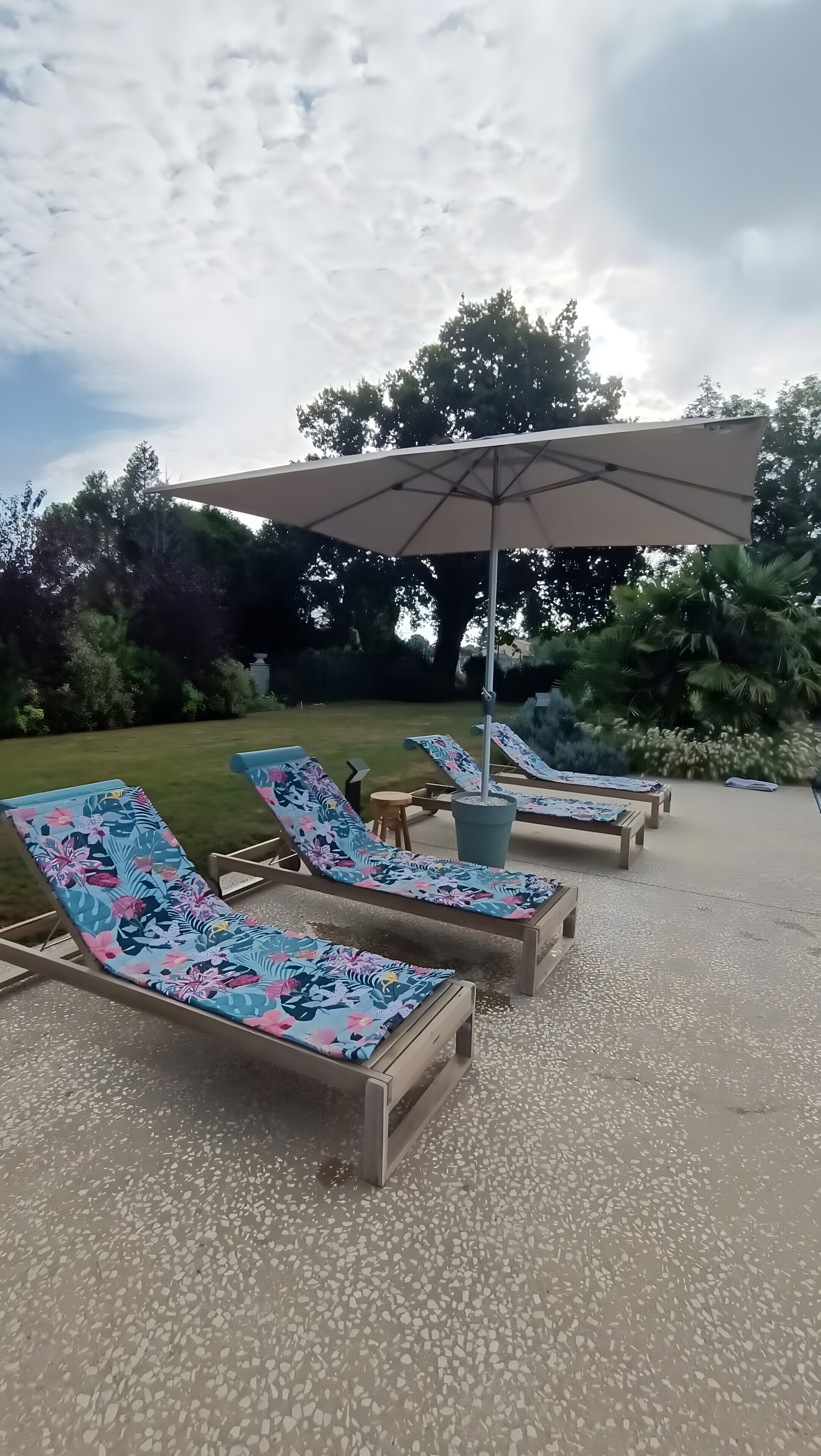 Terraza o patio