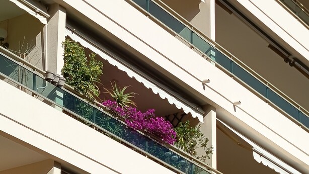 En byggnad med flera våningar och balkonger, vissa med växter och blommor.