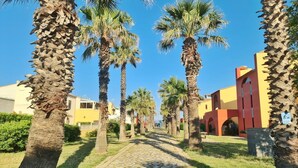 A pathway lined with palm trees leading to a building with a yellow facade and red arches.