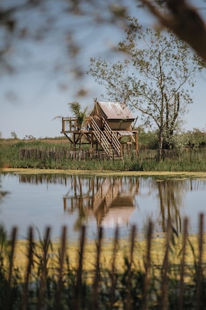 Une structure en bois avec un escalier, située au bord d’un plan d’eau, et entourée de verdure.