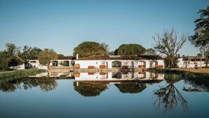 Una propiedad tranquila junto al lago, con un edificio blanco, un muelle de madera y abundante vegetación.