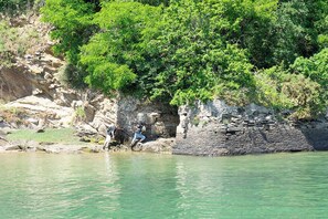 Divers