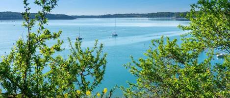 Ett kustlandskap med fri utsikt över havet, båtar och den omgivande vegetationen.