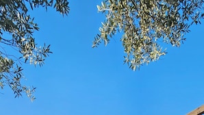 泳池