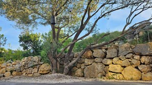 Un mur de pierre, un arbre et un luminaire en métal.