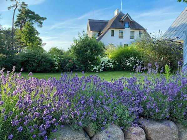 Ein Haus mit schrägem Dach, umgeben von einem Garten mit Lavendel und verschiedenen Sträuchern.