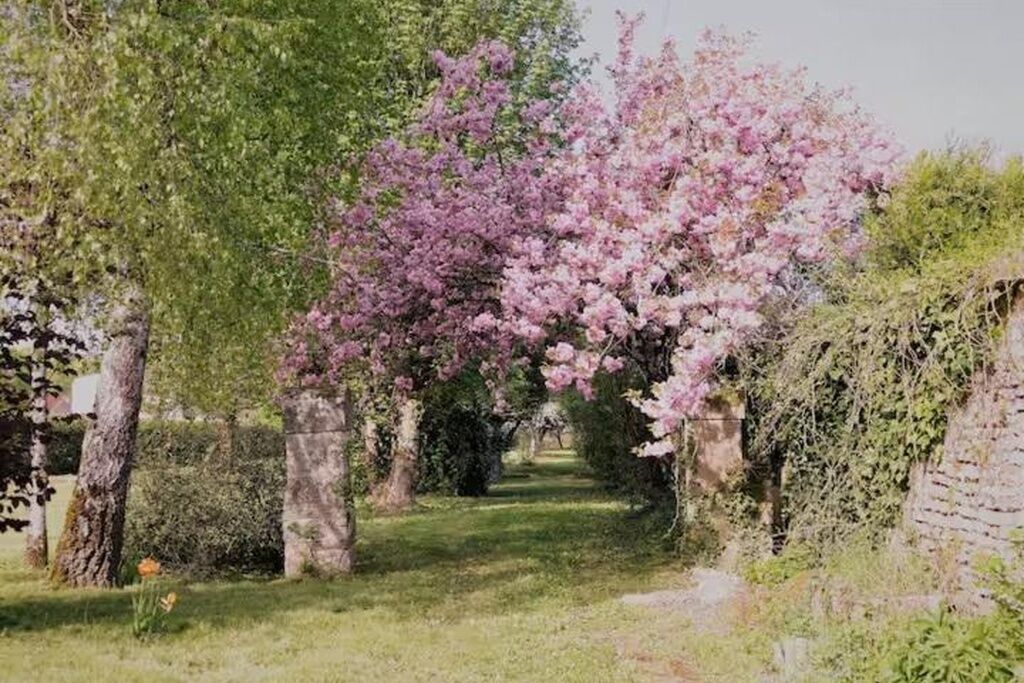 Ein Gartenweg mit blühenden Bäumen und einer Backsteinmauer.