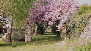 Um caminho no jardim com árvores floridas e um muro de tijolos.