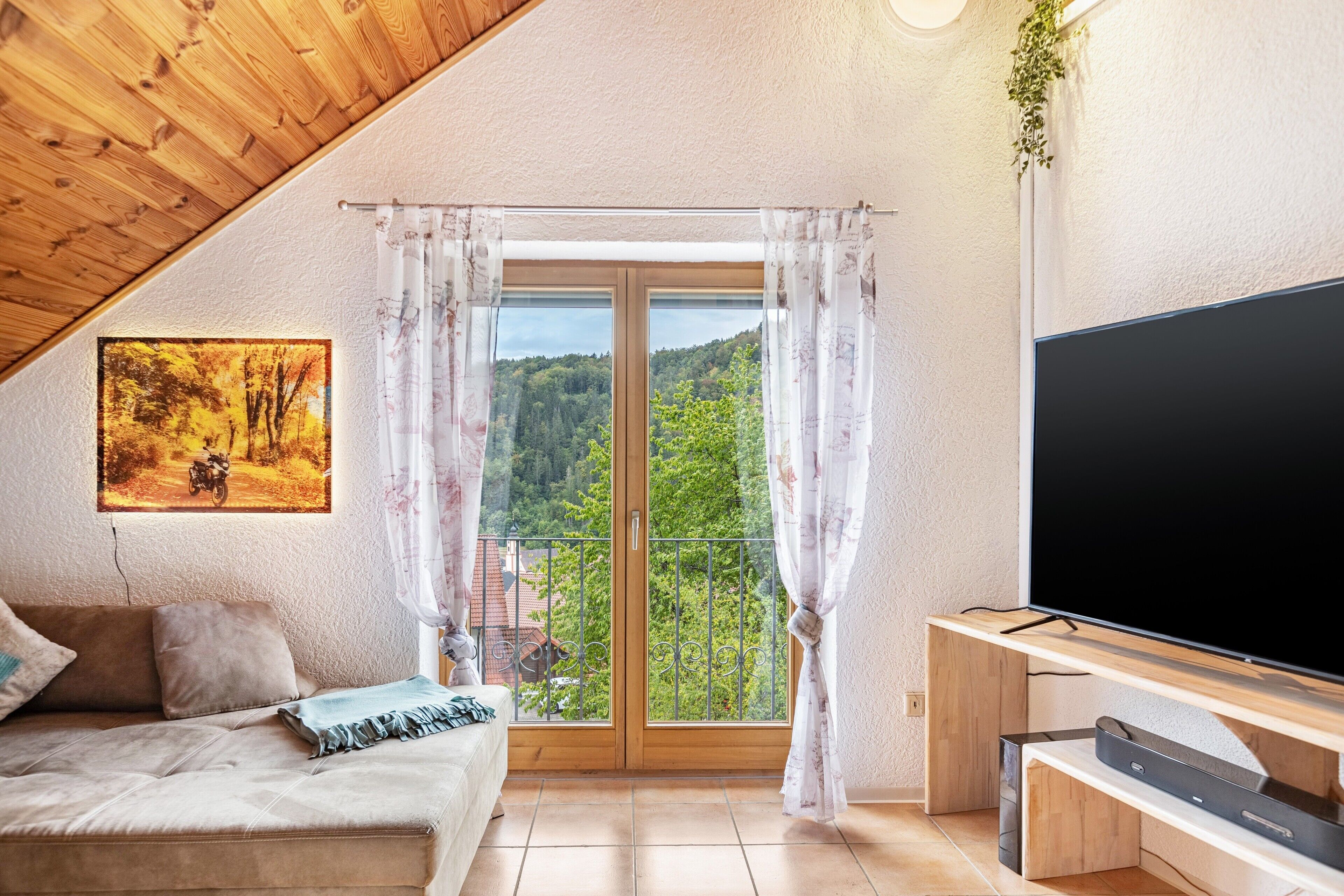 Fernseher, Kamin