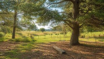 A park with a large tree, a wooden bench, and a fenced field.