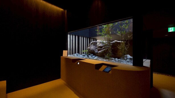 Una habitación moderna con un acuario grande, un banco de madera y un televisor montado en la pared.
