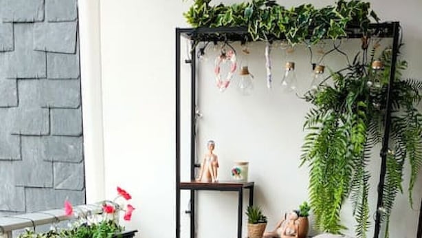 Una habitación acogedora con una silla de mimbre, una pequeña mesa redonda y un estante con plantas.