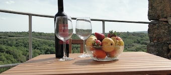 Cosy Stone Cottage in a Beautiful Medieval Village overlooking the Coa Valley