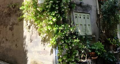 Duplex Pierre et Garance – Heart of Lauris, Heart of the Luberon