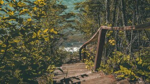 Eine Holztreppe führt zu einem Strand, begleitet von üppiger Vegetation an beiden Seiten.