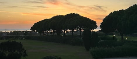 A pathway leading through a park with trees and a sunset in the background.