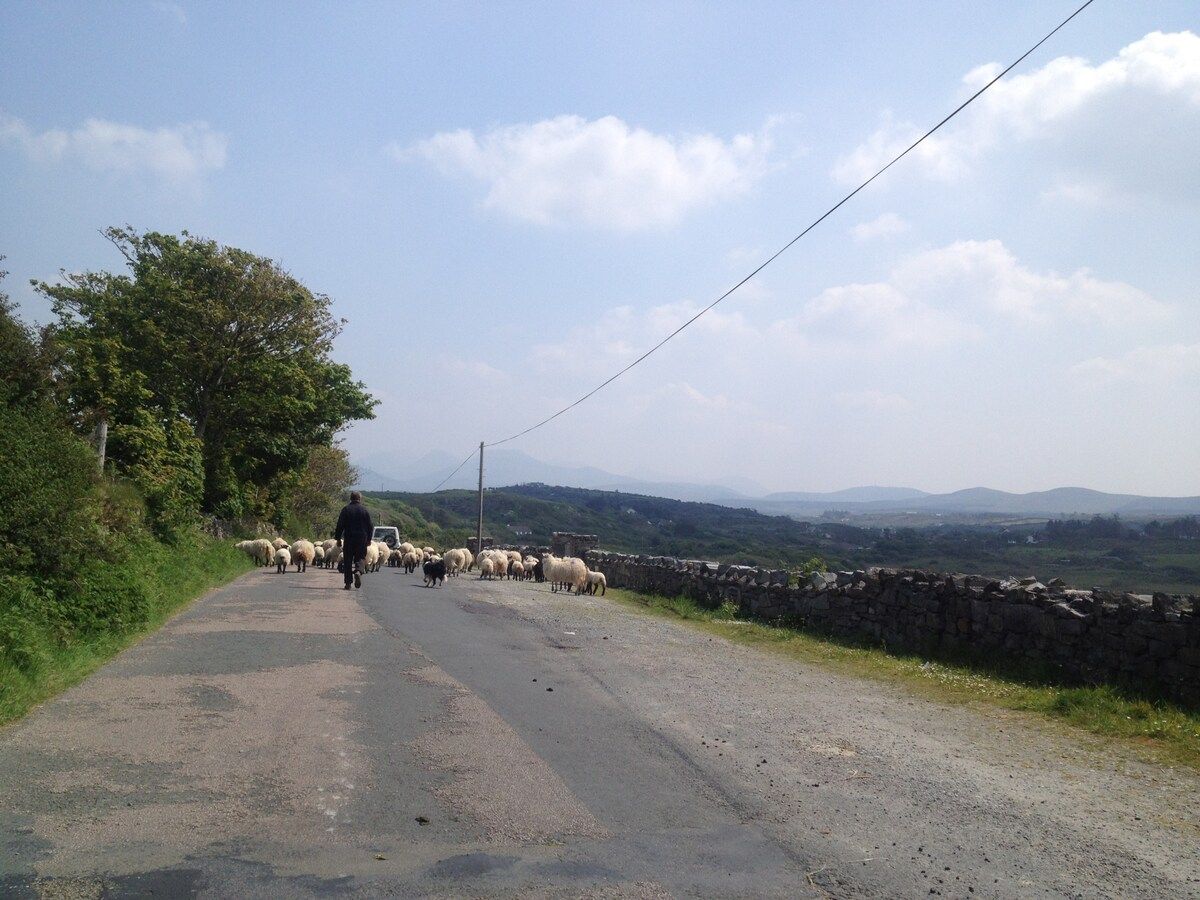 A rural road with a stone wall on one side and a person herding sheep.