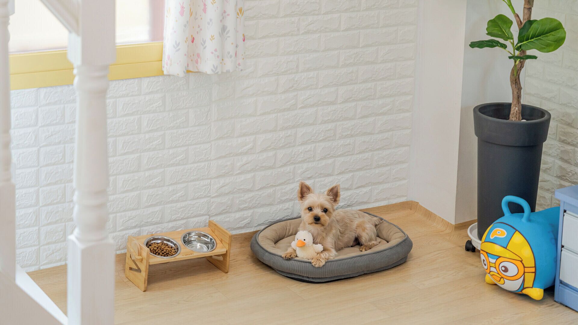 Basic Room, 1 Bedroom (Room 203) | 1 bedroom, free WiFi