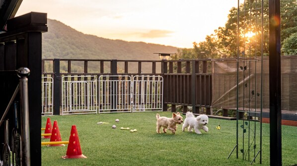 Exterior - Gapyeong Darin Pet-friendly Pension (Gapyeong-gun)