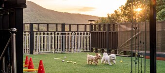 Gapyeong Darin Pet-friendly Pension