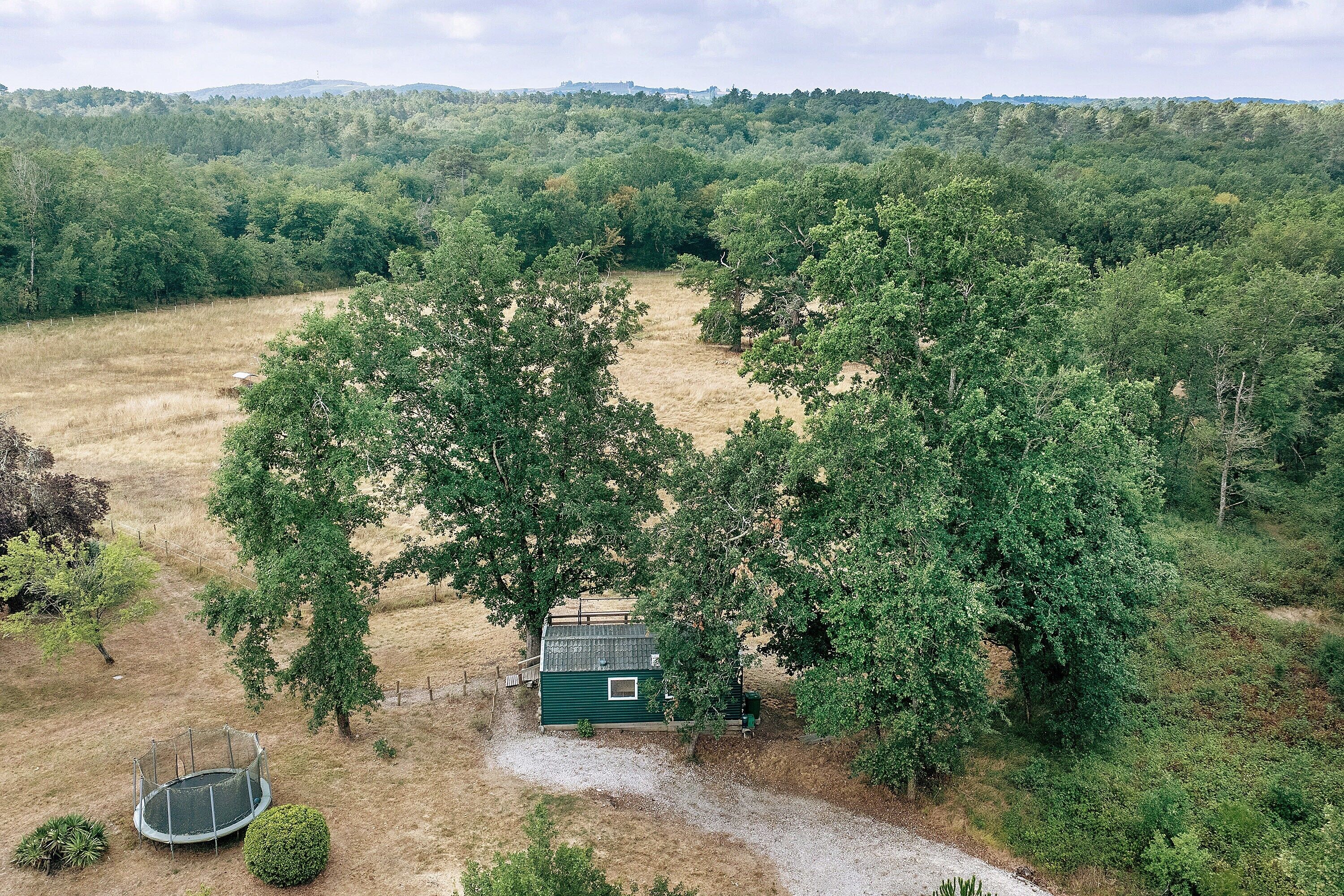 A green cabin surrounded by trees in a forested area.