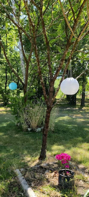 A tree with hanging lanterns, a potted plant with pink flowers, and a grassy area. - Bungalow "À l'Orée des Bois" with Shared Pool, Wi-Fi, and Air Conditioning (Monfaucon)