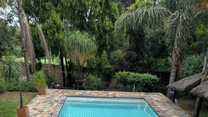 Ein rechteckiger Pool mit gefliestem Rand und einem Sicherheitsnetz, umgeben von verschiedenen Kübelpflanzen und Bäumen.