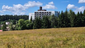 A multi-story building with a flat roof and a chimney, surrounded by dense forest and a grassy field.