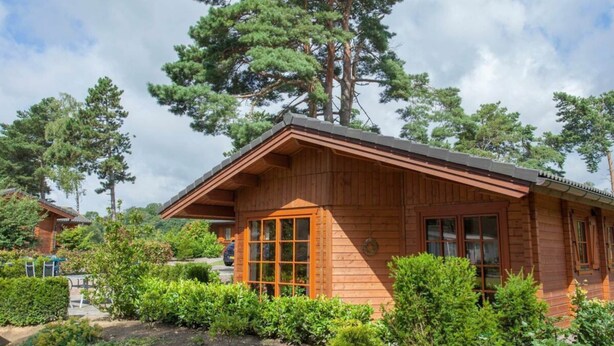 Une cabane en bois dotée d’une grande fenêtre, entourée de verdure et d’arbres.