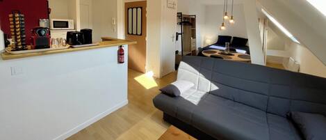 Un appartement moderne comprenant un espace de vie, une kitchenette et un coin repas.