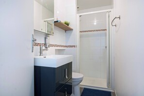 Ein modernes Badezimmer mit Dusche, Toilette und Waschbecken mit Spiegel darüber.