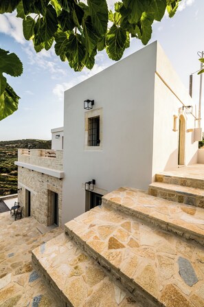 Property grounds - Amvikas: Ampelos Suite-Sitia (Sarantapichos)