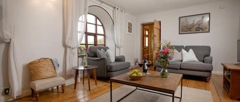 TV connectée, cheminée, lecteur de DVD, chaîne hi-fi