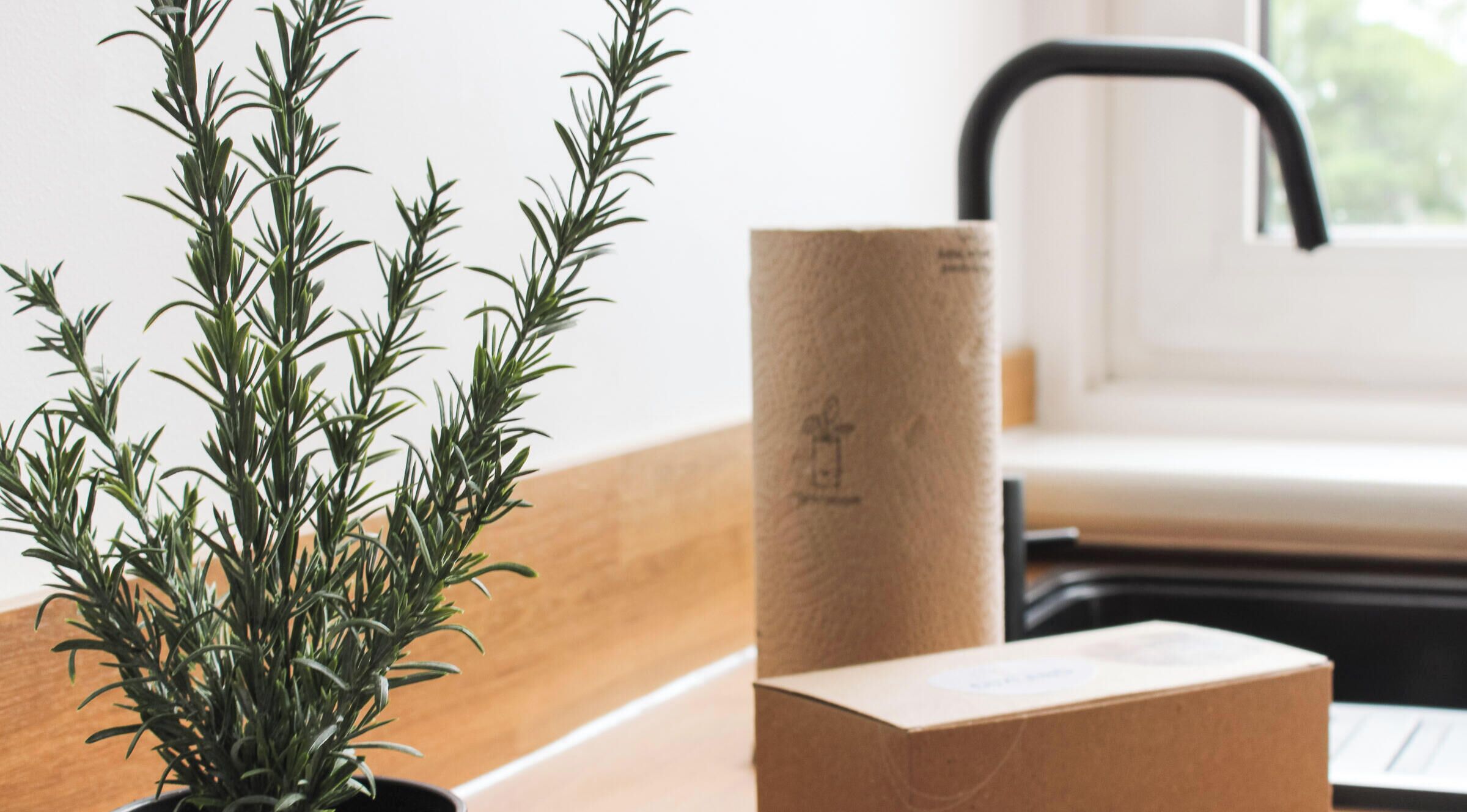 Une plante en pot, une boîte en carton et un évier avec un robinet.