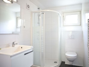 A bathroom with a shower enclosure, a sink, a toilet, and a mirror. - Holiday Home in Arnhem With Terrace (Arnhem)