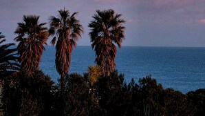 Un paisaje costero con palmeras y vista al mar.