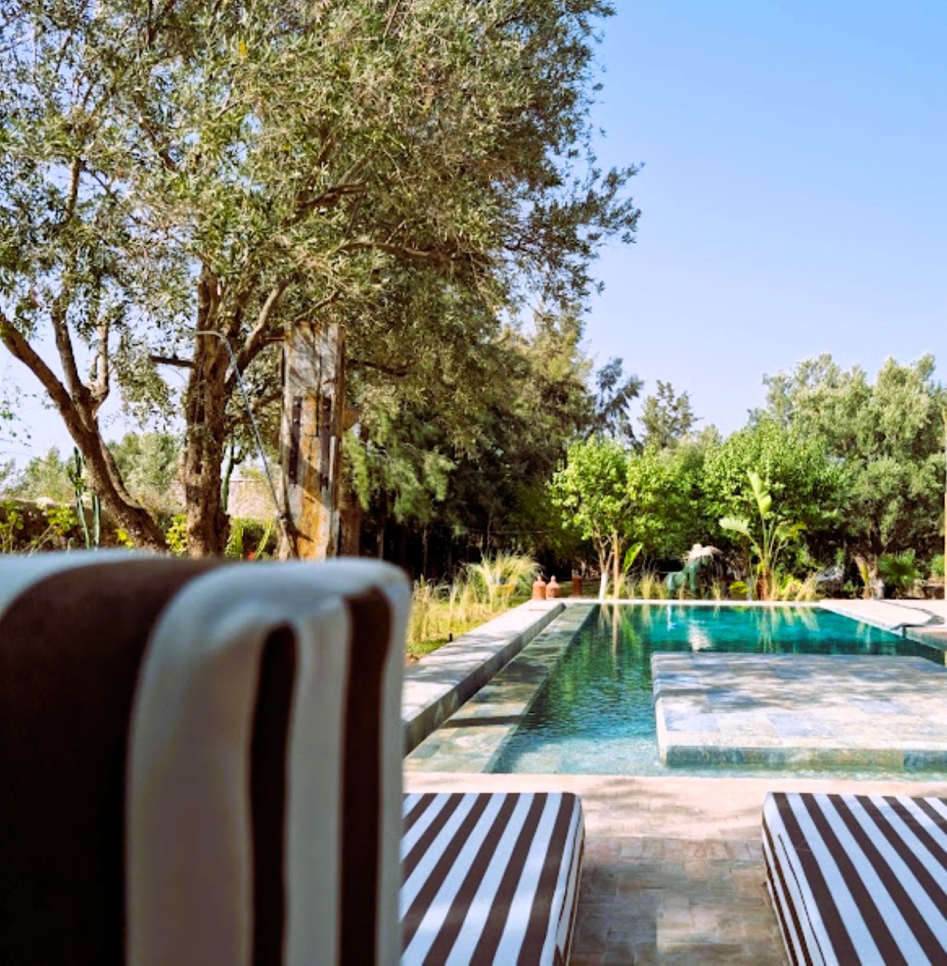 Seasonal outdoor pool, pool umbrellas, sun loungers