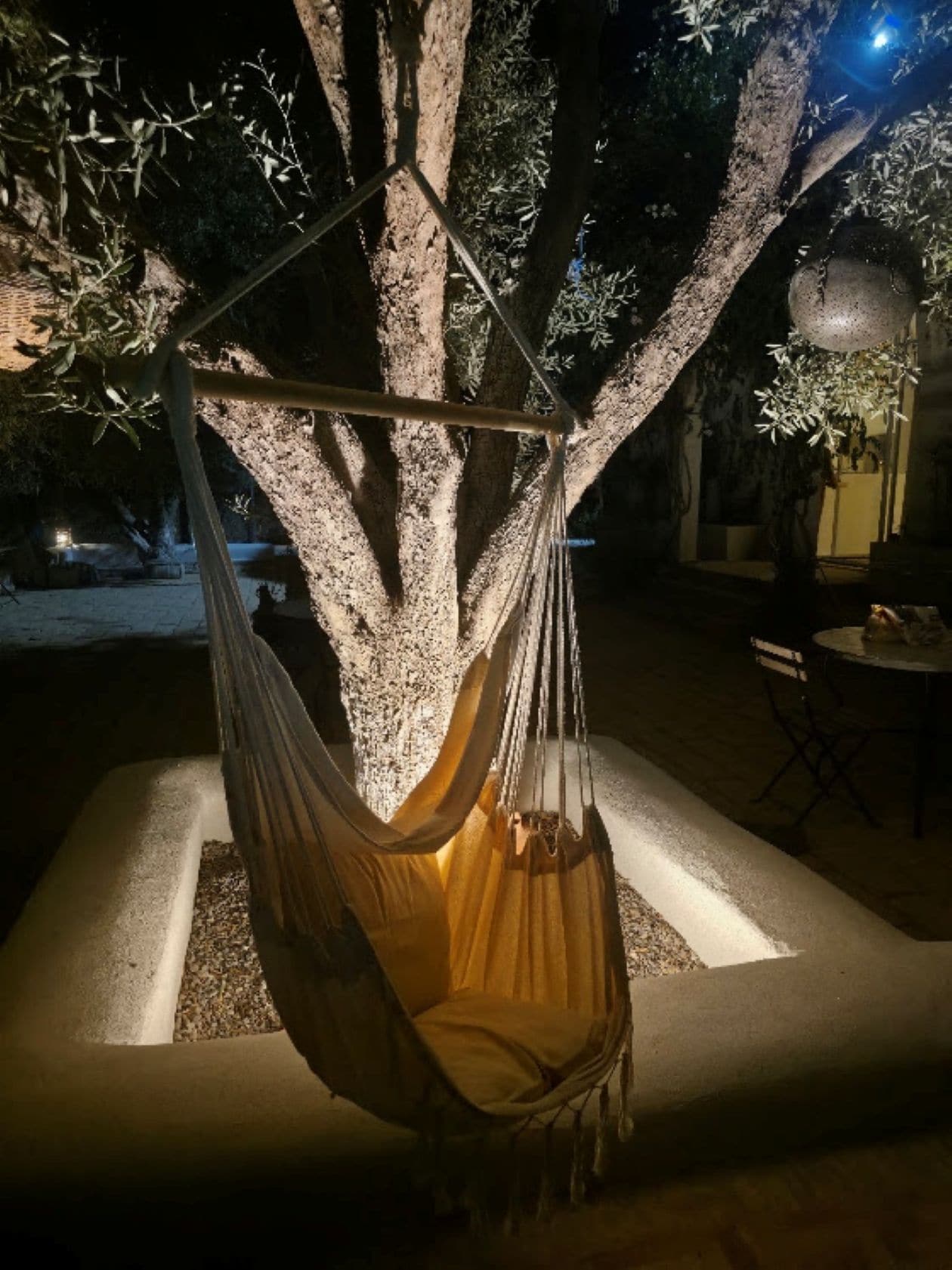 A hammock suspended from a tree in a well-lit outdoor area.