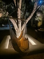 Una hamaca colgada de un árbol en un espacio exterior bien iluminado.