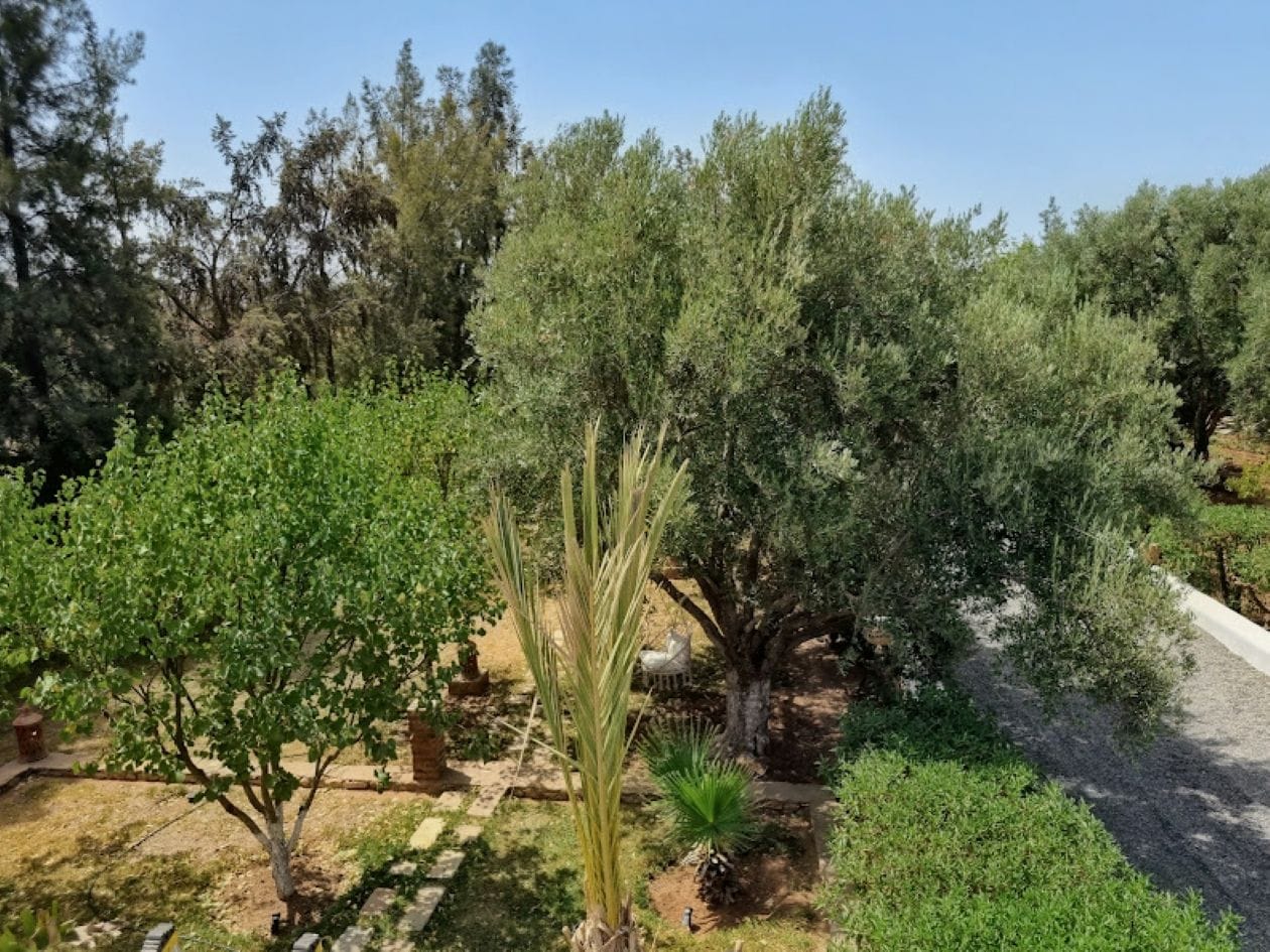 Un jardín con diversos árboles y arbustos, un sendero de grava y un banco de piedra.