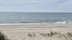 Une plage avec du sable, de l’herbe et l’océan.