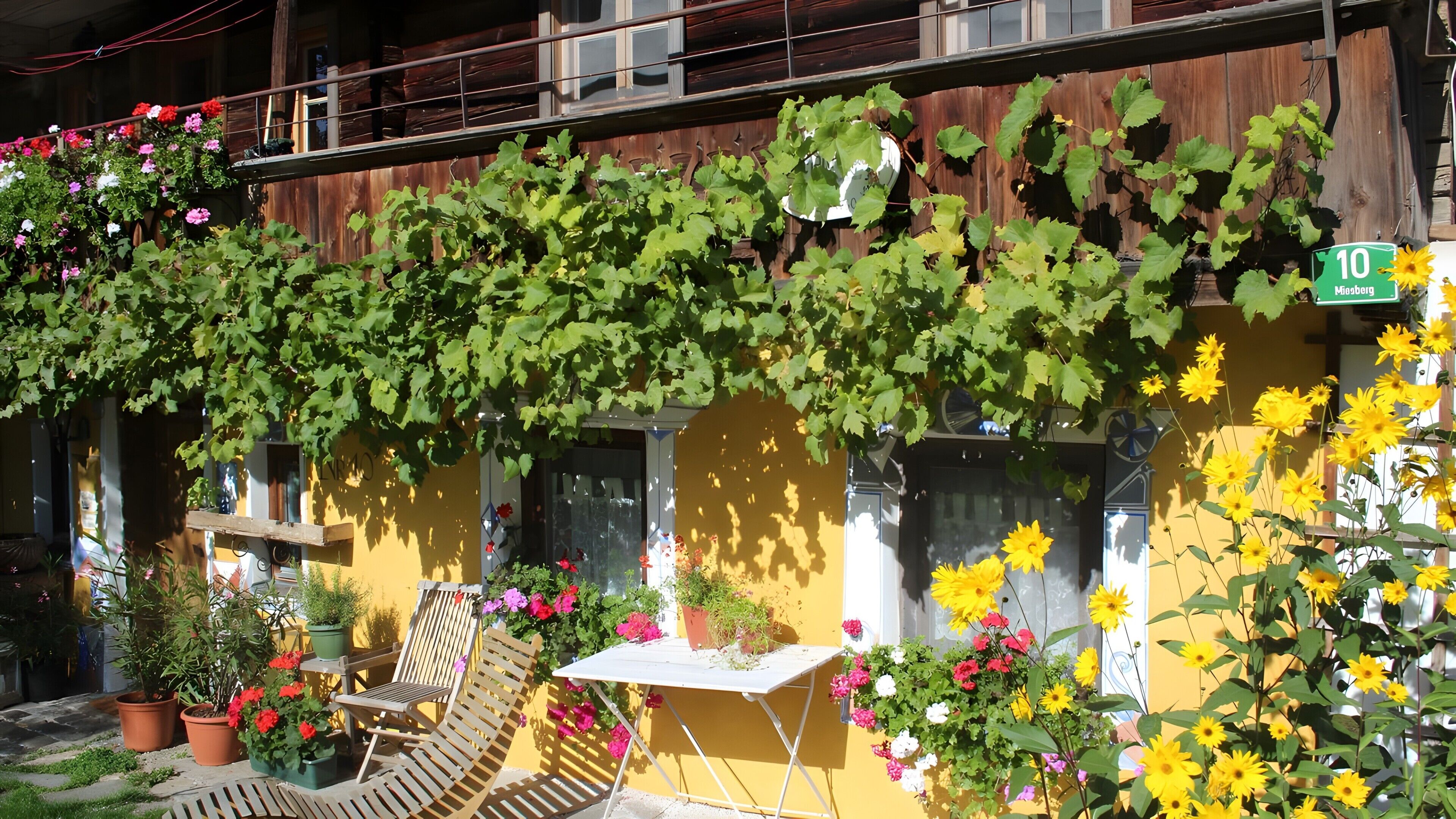 Terraza o patio