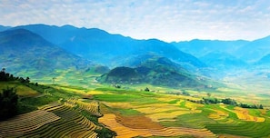 Terraced fields and mountains in the background. - Tinh Doi Sapa Guest House (Sa Pa)