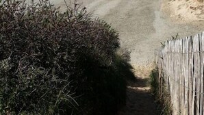 A coastal path leading to a beach with a wooden fence on one side and dense shrubbery on the other. - Guest Room “La Coccinelle Des Cap - Taupe Zen” with Sea View, Private Terrace & Wi-Fi (Ambleteuse)
