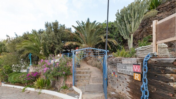Una escalera de piedra que conduce a un portón de madera con un cartel, rodeado de cactus y plantas con flores.