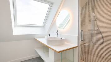 Shower, hair dryer, towels