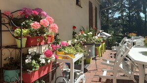 Un patio con plantas en macetas, mobiliario exterior y suelo de ladrillo.
