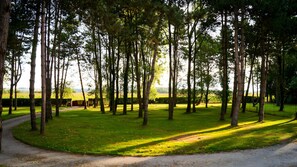 Ein Weg durch ein bewaldetes Gebiet mit Bäumen und Blick auf die Landschaft.